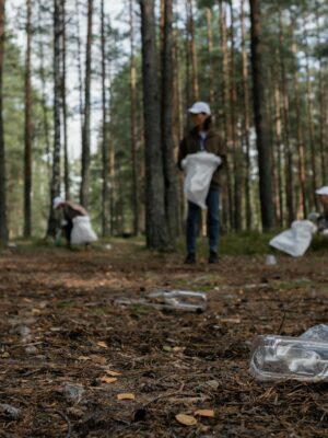 A Cleanup Community Picking Up Recyclables in the Forest